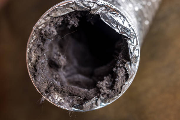 Best Affordable HVAC Duct Cleaning  in Palmview, TX